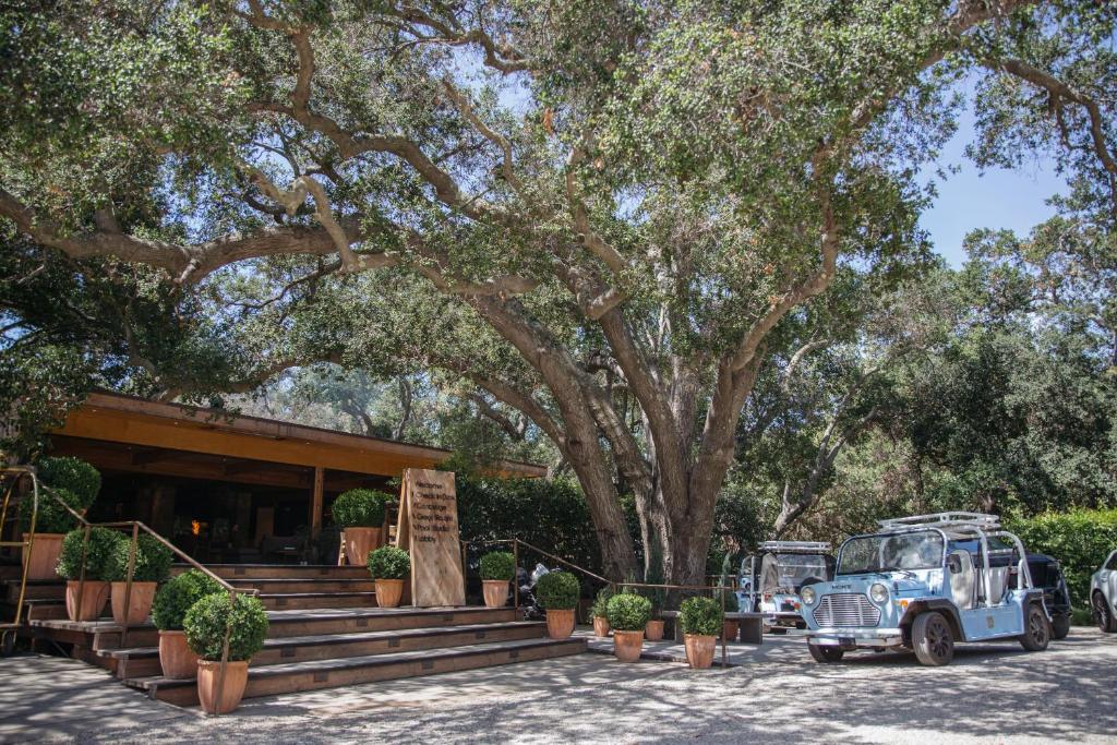 Calamigos Guest Ranch Beach Club