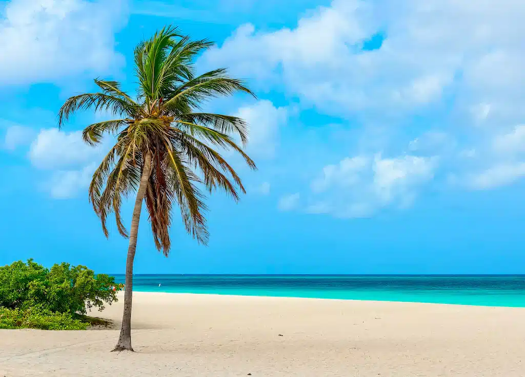 beach in Aruba