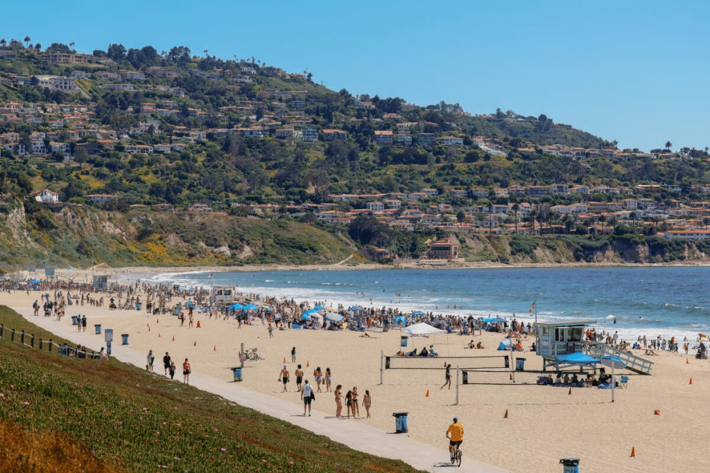 summer in south california