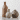 ooit Store Ceramic Vases